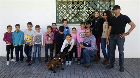 Jun 02, 2021 · el próximo traslado de la sede de la oficina del sae, en palabras de la portavoz y edil de cs en la corporación municipal de utrera, isabel gonzález, permitirá albergar con más espacio y. CHARLAS PREVENTIVAS Y EXHIBICION CANINA EN CEIP DE ...