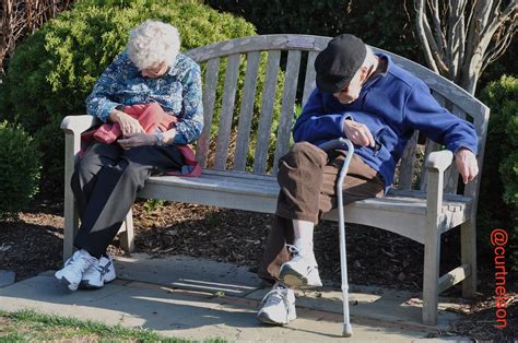 The privacy policy (the policy) covers any and all information about you that may include personal data in the sense given by applicable legislation the protection of your personal information and your privacy is extremely important to yandex. Brookside Gardens | SUNBATHING IN THE GARDEN | gibba1 | Flickr