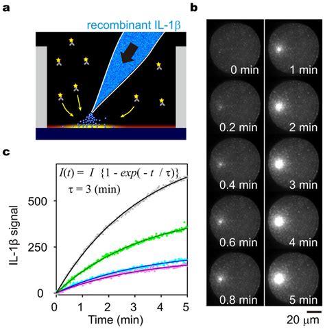 Energy detection for spectrum sensing in cognitive radio. Performance evaluation of time-resolved FIA in the MWA on ...