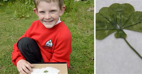 To enjoy all these features download lucky. Lucky or unlucky? Schoolboy finds FIVE-leaf clover after ...