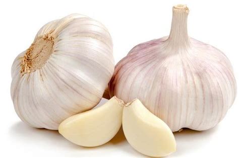 Daun bawang merupakan salah satu dari spesies allium, dan dikonsumsi sebagai sayuran, baik mentah atau dimasak. Opini Salah Manfaat Bawang Putih | Bibit Unggul