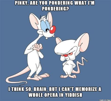 The show was also a part of animaniacs. 34 best images about Pinky and the Brain on Pinterest ...