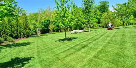 We can do it all. Lawn Mowing Services | Tyler, TX Area | ET Lawn Care LLC