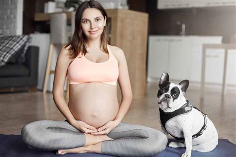 How to tell if dog is constipated? Can My Dog Tell If I'm Pregnant | Pet Friendly House