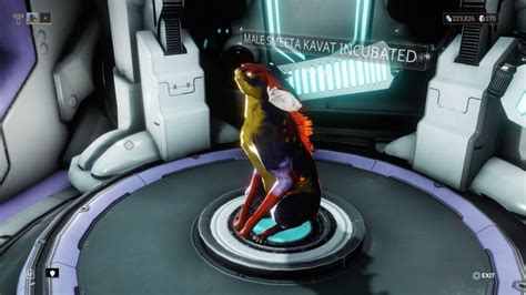 Covering the basics of breeding the kavats, how to scan for there genetic stuff, getting the segment and the breeds themselfs. smeeta kavat | Tumblr