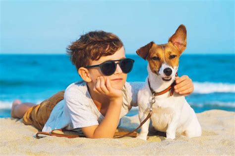 Pet friendly holiday rentals in outer banks. Pet Friendly OBX Vacation Rentals | Village Realty