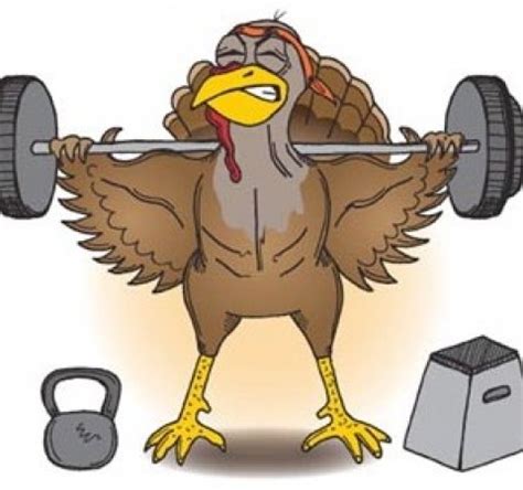 You can get the details from the necessary authorities. Celebrate Thanksgiving with Ageless - Ageless Fitness ...