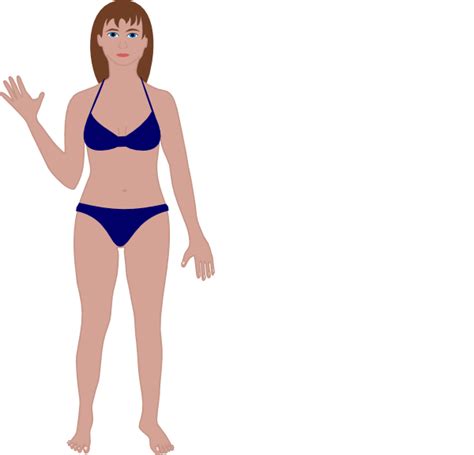 Female body shape or female figure is the cumulative product of a woman's skeletal structure and the quantity and distribution of muscle and fat on the body. Female Human Body Clip Art at Clker.com - vector clip art ...