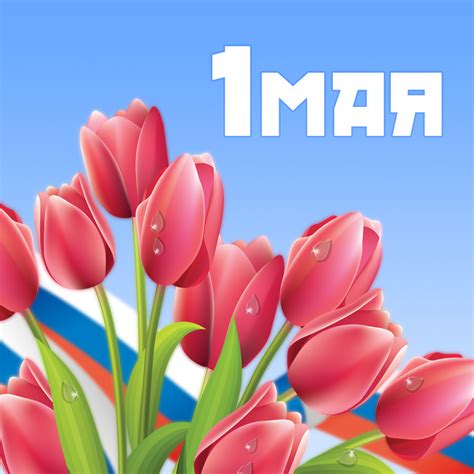 До конца года остаётся 244 дня. Тюльпаны на 1 мая - Скачайте на Davno.ru