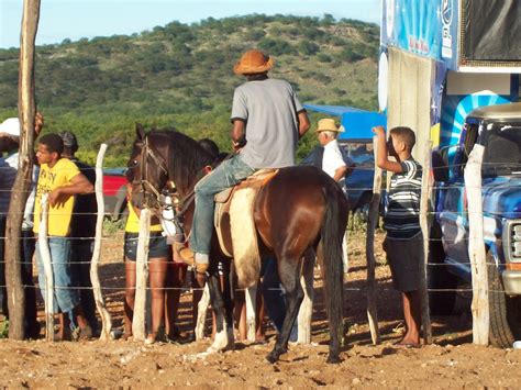 ↑↑ clique para assistir no youtube ↑↑. CAVALO NORDESTINO: Pé de Mourão na Faz. Primavera Curaçá