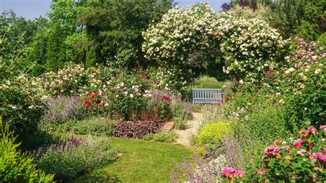 Bepflanzung blumenbeete minimalistischer garten landschaftsbau ideen gartenpflege. Natur im Garten - Vom Bahndamm zum Traumgarten - 3sat ...