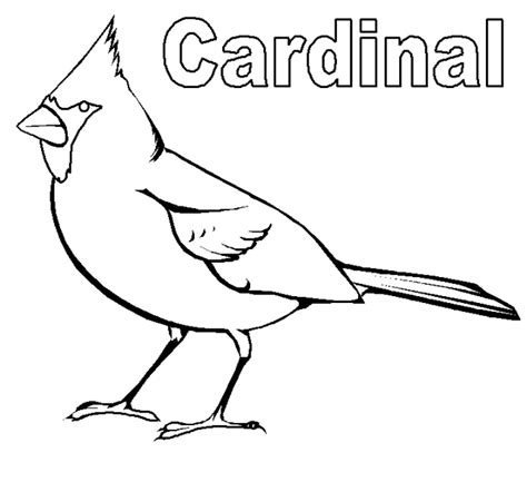 See more ideas about bird art, bird coloring pages, bird drawings. Top 8 High-Detailed Beautiful Cardinal | Bird coloring ...