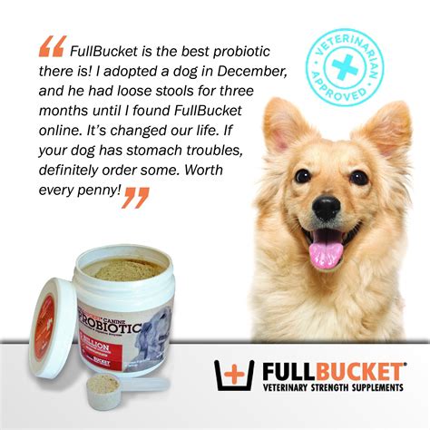 Check spelling or type a new query. FullBucket Daily Dog Probiotic Powder 87gm ** Read more at ...