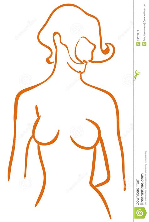 Download the perfect woman body pictures. Vector woman body stock vector. Illustration of feminity ...