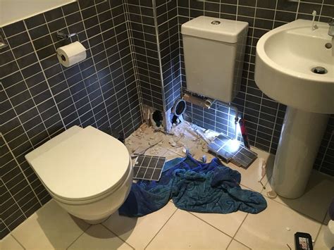 Enter at your own risk, but you might get stuck! Cat stuck behind toilet wall rescued by firefighters after ...