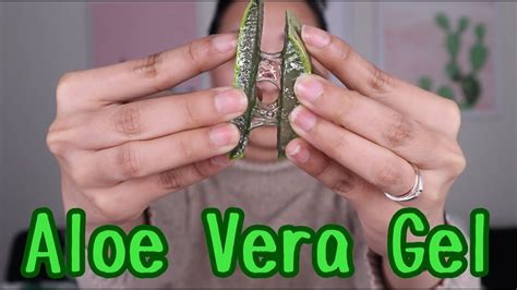 Cukup dioleskan berulang ketika gel mulai mengering. Cara Merawat Rambut Dengan Aloe Vera Gel - Carles Pen