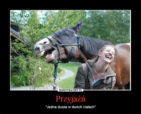 The perfect dziendobry animated gif for your conversation. Przyjaźń - Demotywatory.pl