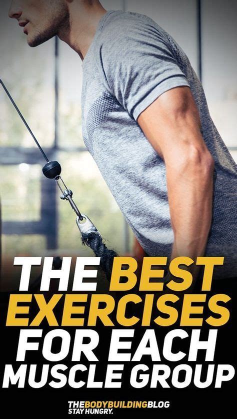 How many sets per exercise should i do? Find out what are the best exercises for each muscle group ...