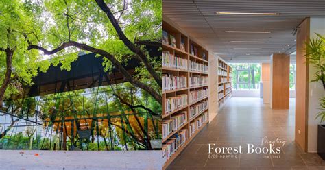 東涌公共圖書館（英文：tung chung public library ）是香港一所公共圖書館，位於香港新界東涌文東路39號東涌市政大樓地下及1樓，屬於分區圖書館規模，面積約2,700平方米。 全台第一座森林圖書館!「屏東總圖」8/26準備開幕，在森林中的玻璃屋閱讀放鬆～ - BEAUTY美人圈