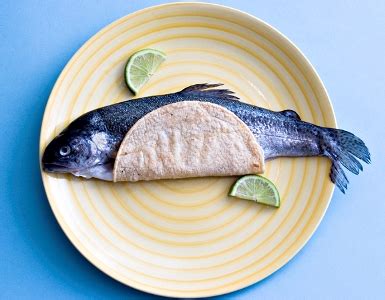 We did not find results for: Fish taco vagina