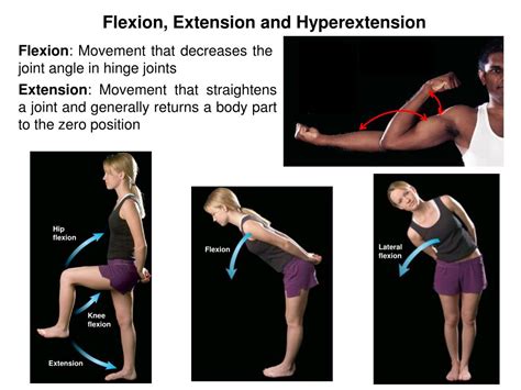 Benefits of a warm up or cool down? PPT - Body Movements and Muscle Histology PowerPoint Presentation, free download - ID:2074614