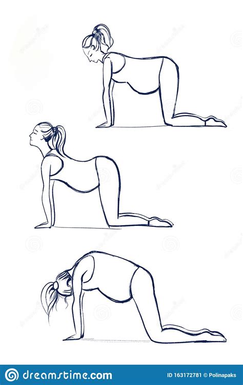 Safe prenatal yoga poses to help prepare for giving birth. Cat And Cow Yoga Pose Sketch On White Background. Illustration Of A Pregnant Woman Doing Yoga ...