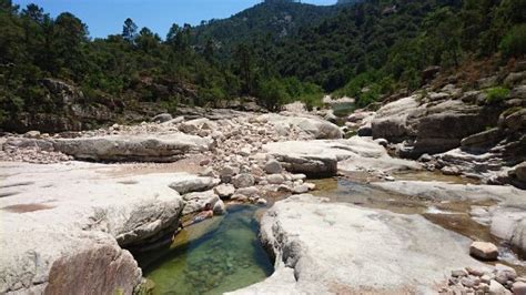 Ensuite c'est tout droit vers l'accrobranche (parking 1) ou plus haut vers le snack des 3 piscines (parking 2). Piscines Naturelles de Cavu - Photo de Piscines Naturelles ...