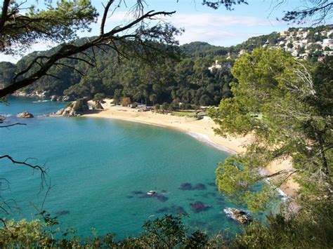 We did not find results for: Playa Santa Cristina | Blog Costa Brava