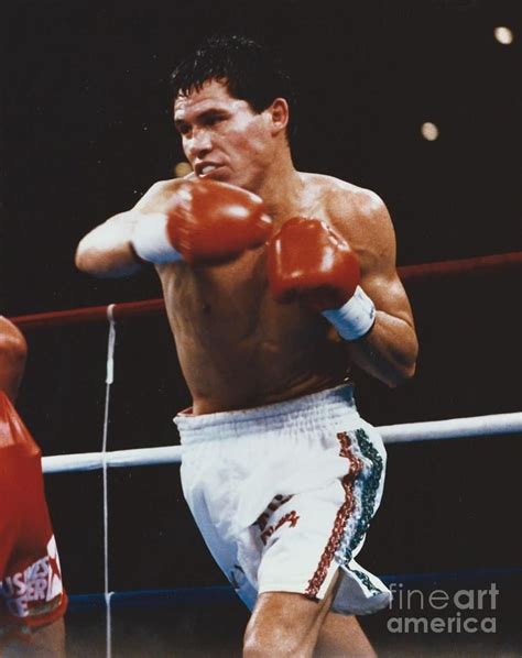 Out of a need to make ends meet, chávez began amateur boxing at the age of 16 and made a professional. Pin by Richard Tong on BOXERS | Sports hero, Julio cesar ...