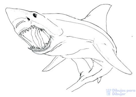 We did not find results for: 磊【+2250】Fáciles dibujos de Tiburones para dibujar ⚡️