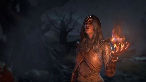 They probably knew that if they remastered diablo 2 they couldn't justify adding microtransactions. Rumor: Amazon and Paladin for Diablo 4 Launch; Diablo 2 ...