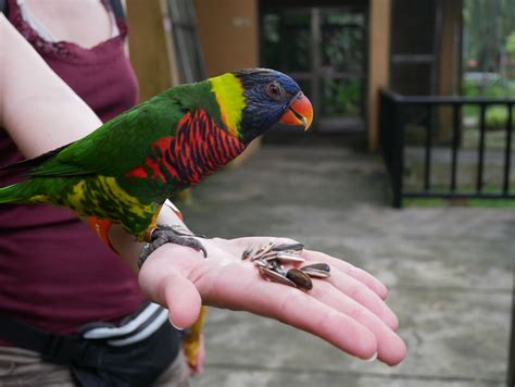 A residential enclave designed to set the standards of fine contemporary urban living. Voyager en Malaisie : que faire dans la capitale Kuala ...