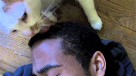 Stud licking and drilling shaena steel's hairy vag. Cat licking me hair - YouTube