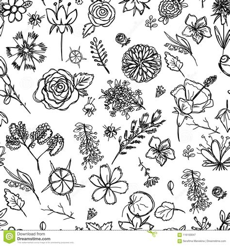 Fiori da colorare disegni gratis. Struttura Senza Cuciture Che Descrive I Disegni Del ` S ...