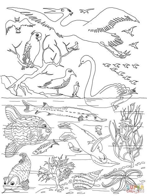 Fourth of july coloring pages. 5th Day of Creation coloring page | Free Printable ...