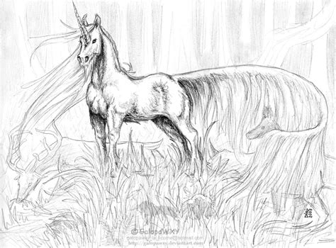 Unicorns expand our creativity and open our minds. Realistic Unicorn Coloring Pages - Coloring Home