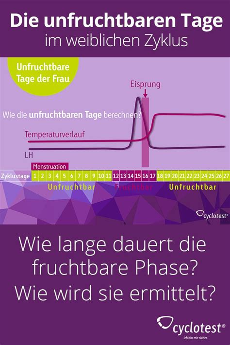 Wann wäre ich fruchtbar ? Unfruchtbare Tage: Am Zyklusanfang + nach dem Eisprung ...