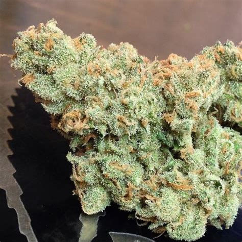 This is why marijuana strains that help focus could be of some use. Buy Jack Herer Medical Marijuana Strain - BUY MARIJUANA ONLINE