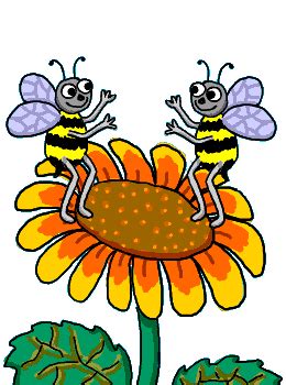 Gambar animasi bunga cantik dan lucu. Filosofi Bunga Matahari Dan Manfaatnya Steemit