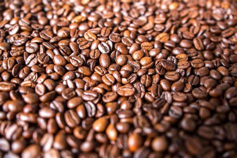 | starbucks espresso roast whole bean dark roast coffee 6 lb. Espresso Beans Vs Coffee Beans: Know The Difference - Tech ...