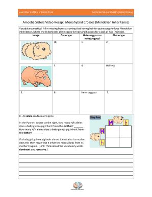 Many traits are influenced by more than one gene & 2. Amoeba Sisters Video Recap Sex Linked Traits Worksheet ...