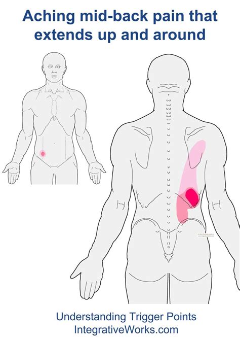 Unfortunately, cancer in any of the organs or tissues along the left side of the back can cause pain in the organ or area where the tumor is growing. Mid-back pain that goes through the abs | Integrative Works
