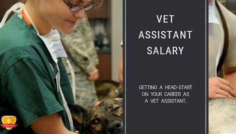 There are employed vet assistants in colleges, universities, and research programs. Veterinary Assistant Salary (How Much Does a Vet Assistant ...