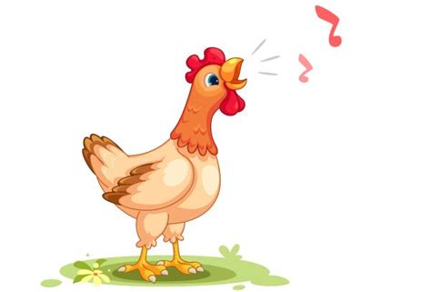 Nah, di bawah ini ada kumpulan gambar yang bisa dipakai salah satunya adalah cerita tentang ayam dan elang. 94 Gambar Animasi Ayam Berkokok Lengkap | Cikimm.com