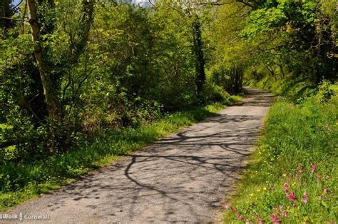 I think everyone forgets that the trail doesn't actually end in wadebridge as when you rejoin it just around the corner and take the route up. Pin on Akash pins saves