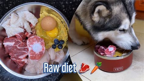 We explain what it means to feed dogs a raw food diet as well as all the expenses and techniques to go about feeding your dog for a whole month. Updated Raw diet dog food for my Alaskan Malamutes - YouTube