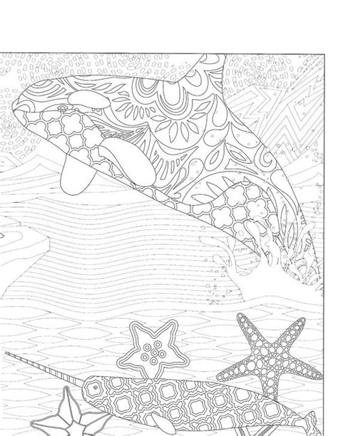 Pin van Barbara op coloring dolphin, whale, shark