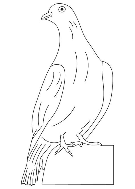 Perched mourning dove coloring page free printable ink jpg (1275×1650) bird pages download turtle for designlooter 2020. Dove Coloring Pages | Coloring pages for kids, Heart ...