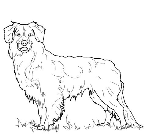 Find & download free graphic resources for golden retriever. Golden Retriever Coloring Page For Animal Lovers ...