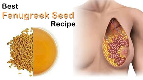 See full list on curvesnmore.com How to Use Fenugreek for Breast Enlargement - Best ...